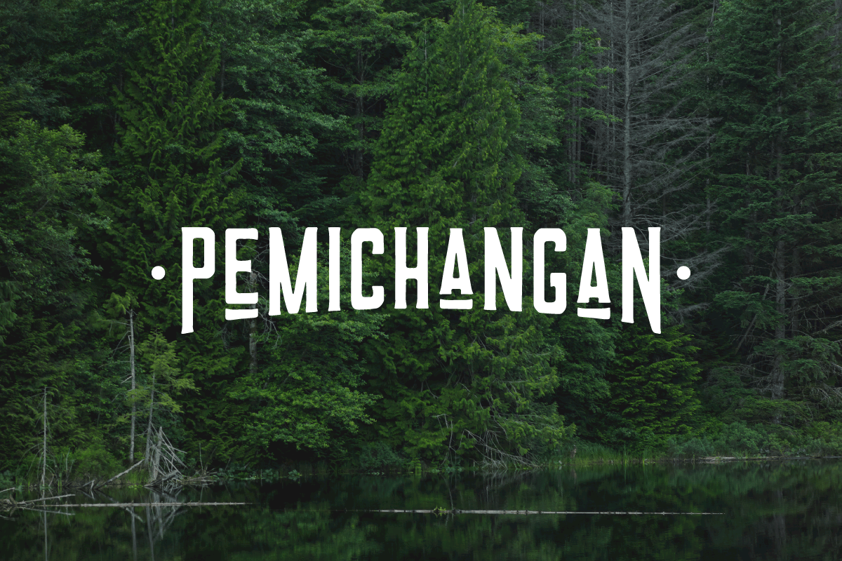 Lac Pemichangan Managing & protecting the lake and its watershed